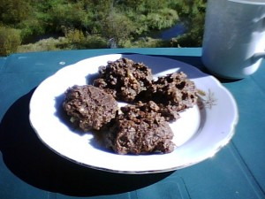 Karen\'s chocolate brownie cookies