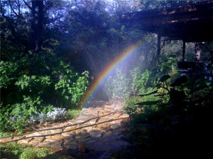 Rainbow garden