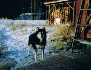 Bandit at Monkey Valley