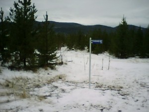 Sign planted with snow