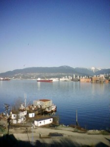 Harbour on a sunny day