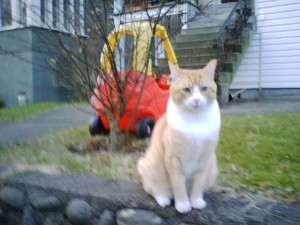 Rascally Donald beside his truck