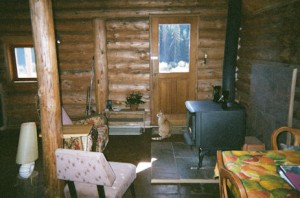 Welcome to a unique log cabin overlooking a gorgeous creek and valley