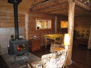 Cheerful fire in the wood stove