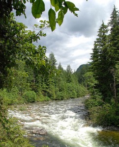 The glorious Seymour River