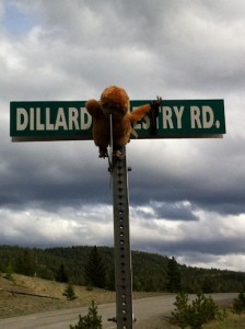 Monkey on Dillard sign